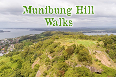Munibung Hill Walks